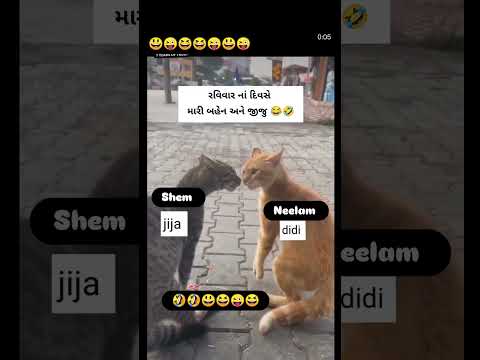 didi aur jiju ka jagda 😄🤣🤣😜chalu hai