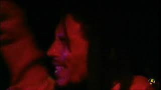 Bob Marley &amp; the Wailers - Natty Dread ( Live One Love Peace Concert 1978 )