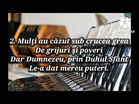 Cântați cu toți,vă bucurați-Negativ cu versuri Sorin Alexandru