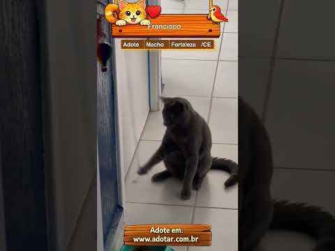 Vídeo de Francisco