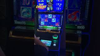 EPIC LIVE BIGWIN! #slot #coldspell #bigwin #gamblinggame