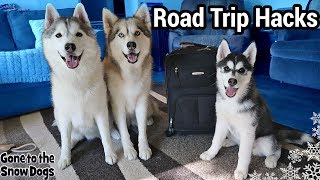 Packing For a Road Trip with Dogs | Road Trip Hacks With Dogs