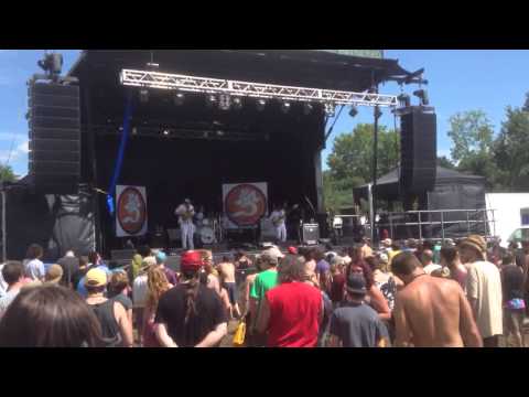 Consider the Source "paranoid android" at the big up