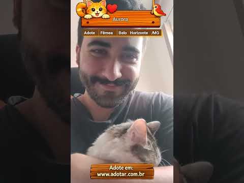 Vídeo de Aurora
