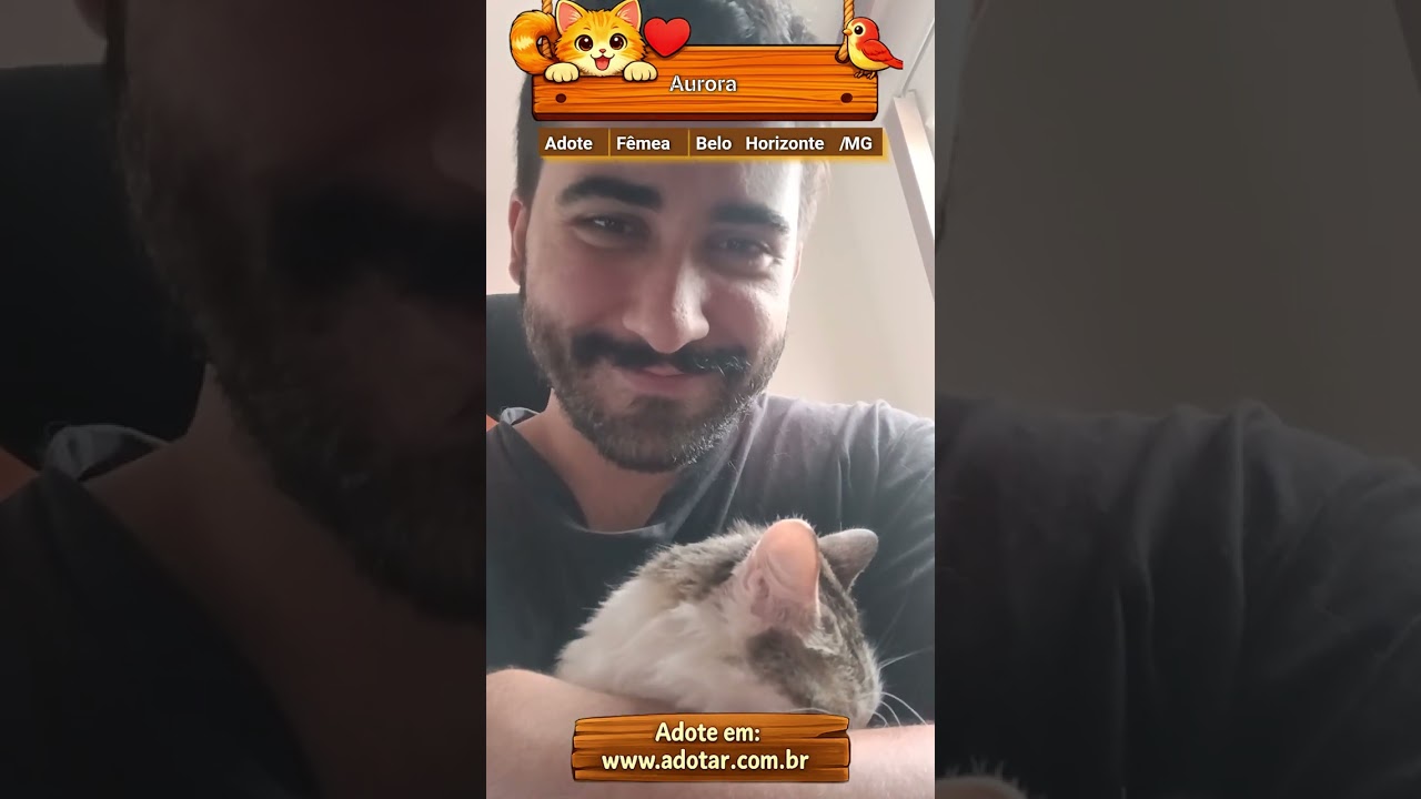 Gato raça SRD-ViraLata idade 4 anos nome Aurora