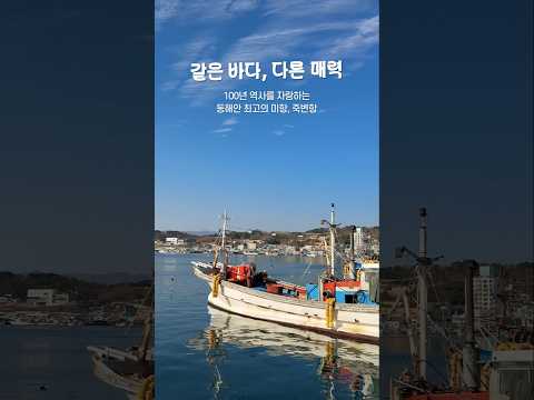 죽변항vs후포항 여러분의 선택은?