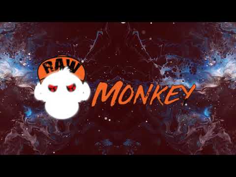 Frontliner - Spacer (Uptempo Remix By Spiady) [MONKEY TEMPO]