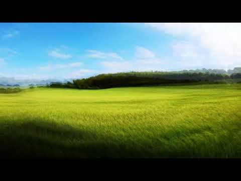 15 Min of Field with Wind, Swallows, & Windchimes - Sounds for meditation, studying, sleeping