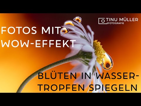 WOW-Fotos: Blumen in Wassertropfen spiegeln (Kommentar in Schweizer Mundart!)