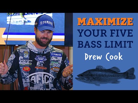 Bassmaster Drew Cook's Big Bass Fishing Tips (Five Bass Limit Tournament Strategy)