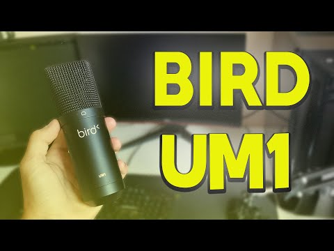 BIRD UM1 si bien que ça ?