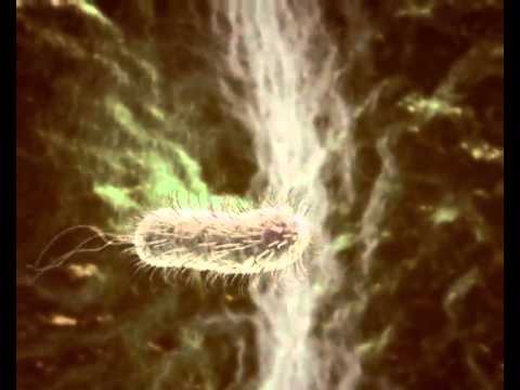 Aumentare elemento di iniezione sessuale La diagnosi e il trattamento di potenza