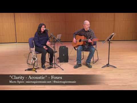 Promotional video thumbnail 1 for Micro Spice Music - Acoustic Duo