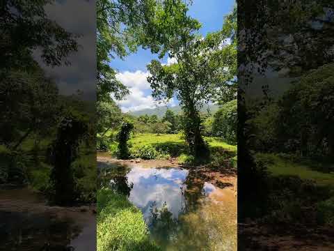 #cahabonaltaverapaz😍🥰 #guatemala🇬🇹