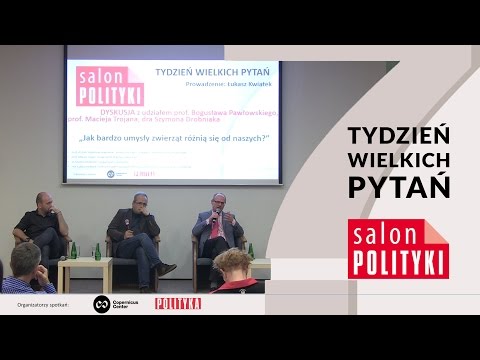 Na elemencie główki małych wypukłości Mały penis u mężczyzn