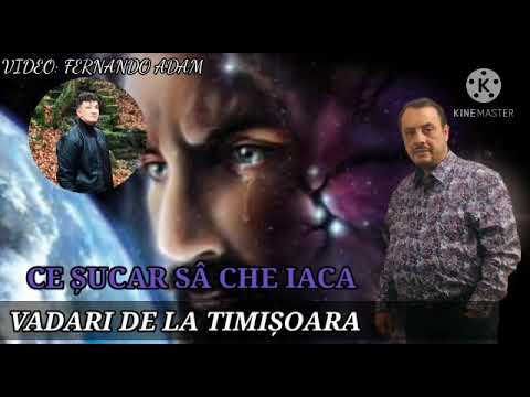 Vadari de la Timisoara - Ce sucar sa che iaca / 2021 Official Video