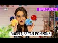 FLUFFIGE VOGELTJES | Super Surprise | NPO Zapp