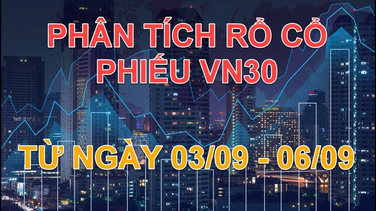 Phân tích rổ cổ phiếu VN30 từ ngày 03/09 đến 06/09 | Lương Tuấn