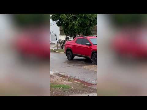 Só em Minas Gerais mesmo! Policial assume a direção de carroça após prender ladrão em Arinos