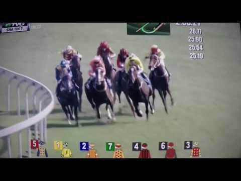 CHAMPIONS AND CHATER CUP- HONG KONG-GROUP 1- 2017 WERTHER !!!