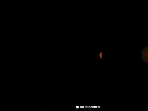 Simon's Cat Pop Time S9 part 25-29(4)