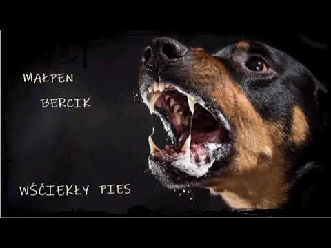 MAŁPEN NSTRs - WŚCIEKŁY PIES  fest.BERCIK (PROD.ogstick!)