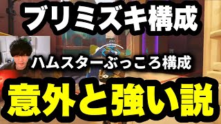 かなり怪しいブリミズキ構成