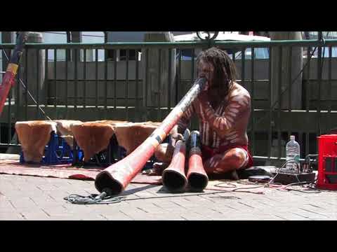 the Aboriginal plays the didgerid