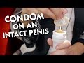 How To Put A Condom On An Intact Penis