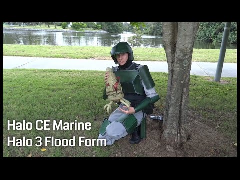 Learn About the Flood with Dubbo and Jenkins
