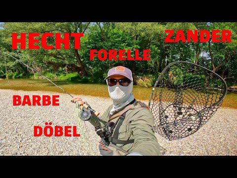 Fly fishing for pike, zander, brown trout, barbel, chub