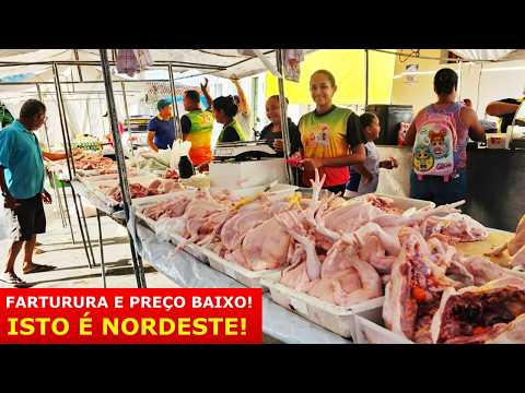 VEJA A FEIRA DA EMENDA EM LAGOA DOS GATOS -PE