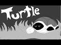 Turtle Animatic