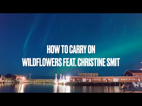 WILDFLOWERS FEAT. CHRISTINE SMIT - HOW TO CARRY ON [LYRICS]