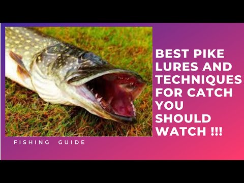 BEST PIKE LURES AND TECHNIQUES - EN İYİ TURNA SAHTELERİ VE YEMLERİ - HOW TO CATCH PIKE