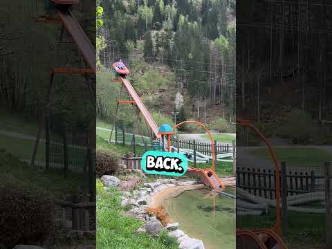 They Built a Rollercoaster In Their Backyard 😳 #shorts