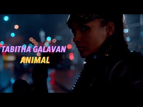 TABITHA GALAVAN - ANIMAL