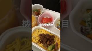 成田メルボルン間の機内食#shorts #成田空港 #メルボルン #海外在住ママ #飛行機 #機内食 #赤ちゃんのいる生活
