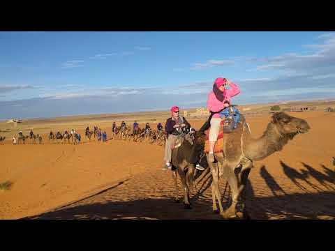 Morocco with Larbi of Gate 1