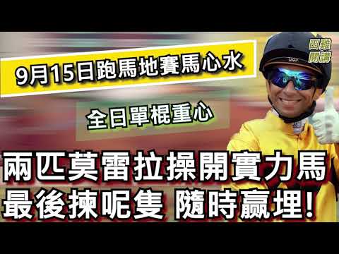 【賽馬貼士】香港賽馬 9月15日 跑馬地馬場 全日單棍重心推介| 兩匹莫雷拉操開實力馬  最後揀呢隻隨時赢埋!