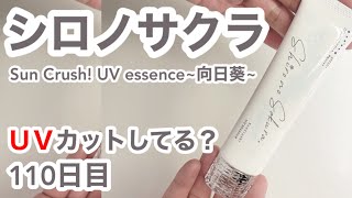 シロノサクラはUVカットできてるの？【110日目】
