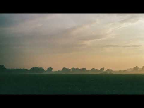 Tony Anderson - Meadowlark