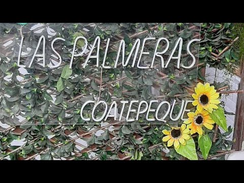 "Restaurante las palmeras lago de coatepeque"