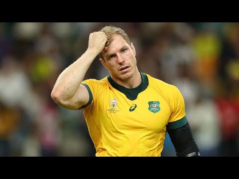 David Pocock - The Destroyer | tribute