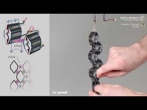 Combining soft artificial muscles with magnetic exoskeleton to create versatile robots