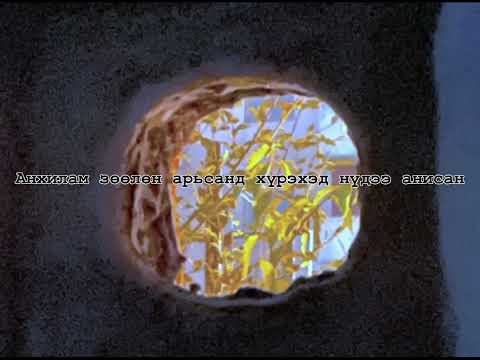 290_-_Imagine ft. Fruitybaachka/Lyrics Video/