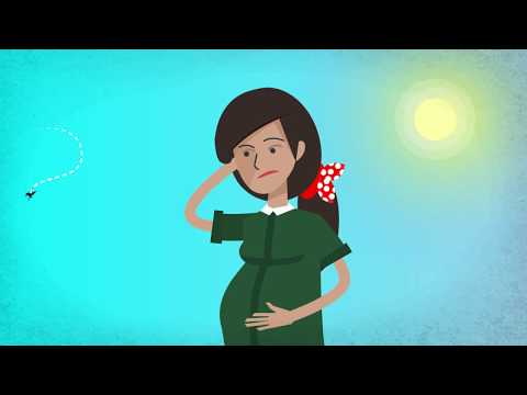 Zika Virus – Greetings from Tropical Islands | American Academy of Pediatrics (AAP)