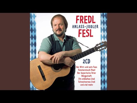 Aller Anfang Ist Schwer - Fredl Fesl