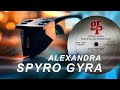 Spyro Gyra  / Alexandra / Vinyl 💎 Ortofon 2M Black