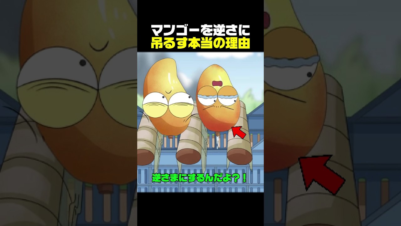 マンゴーを逆さに吊るす本当の理由